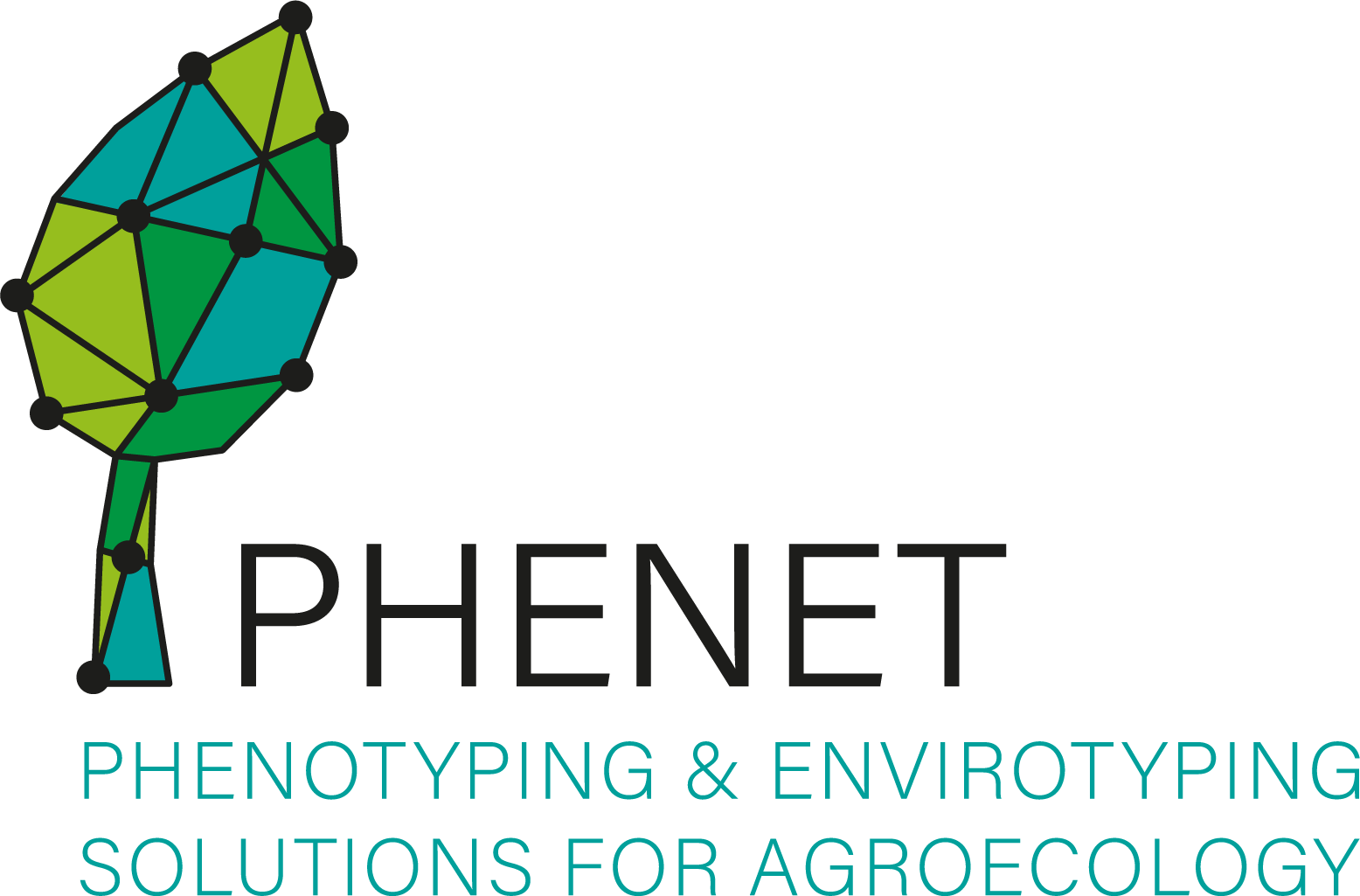 Logo PHENET project