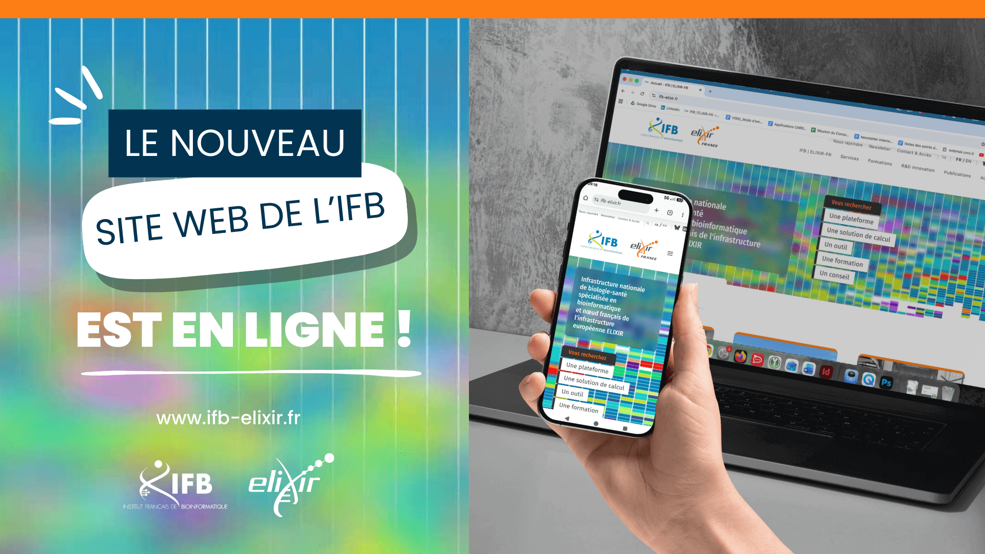 Le nouveau site web de l'IFB est en ligne